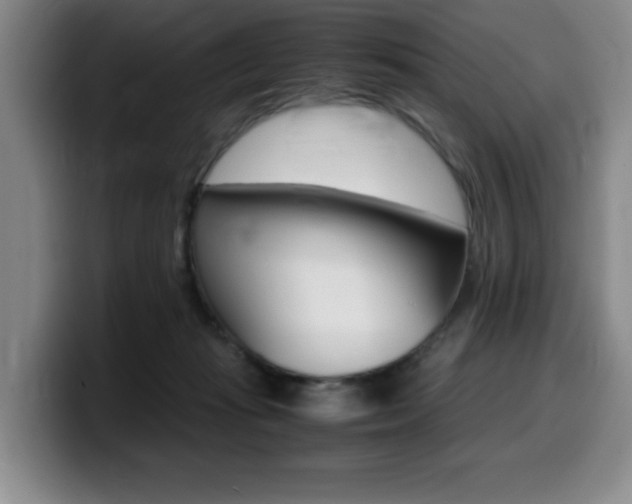 X0000099470269200805090819