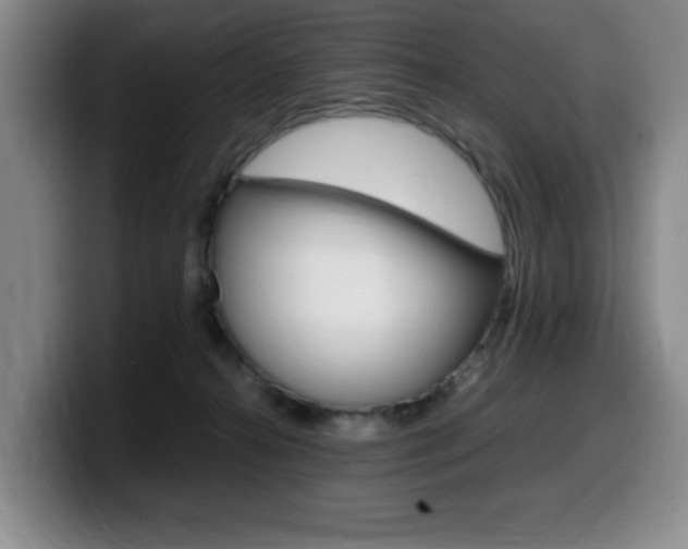 X0000099470272200805090819