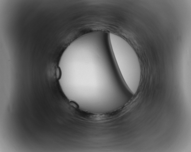 X0000099470273200805090819