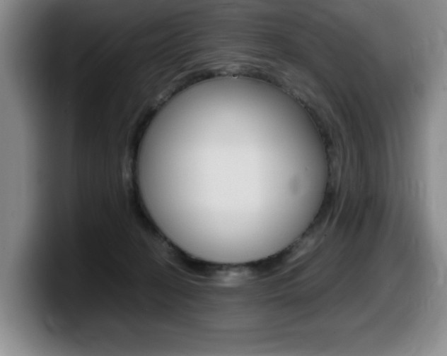 X0000099470274200805090819