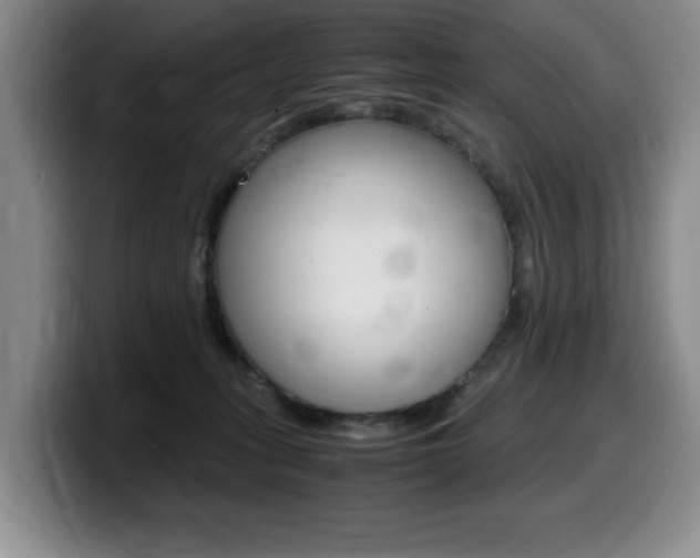 X0000099470275200805090819