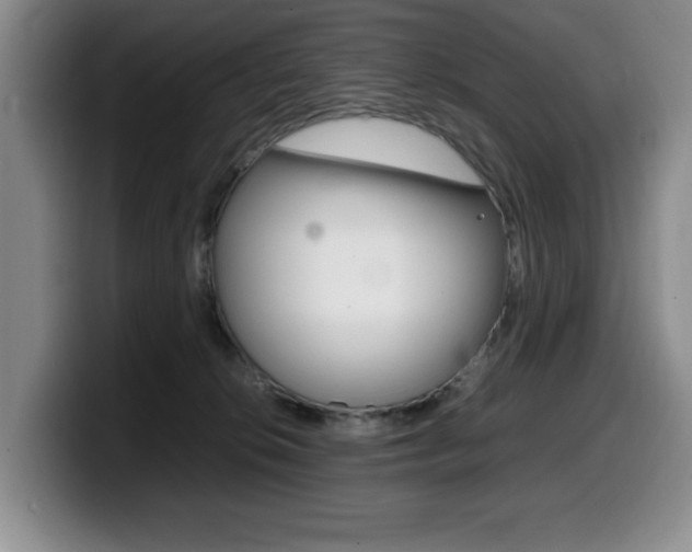 X0000099470276200805090819