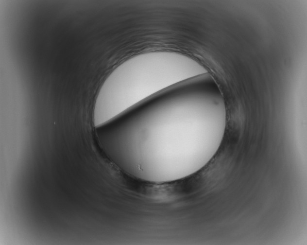 X0000099470277200805090819
