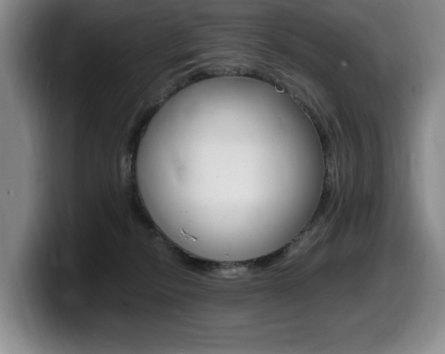 X0000099470278200805090819