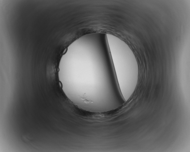 X0000099470279200805090819