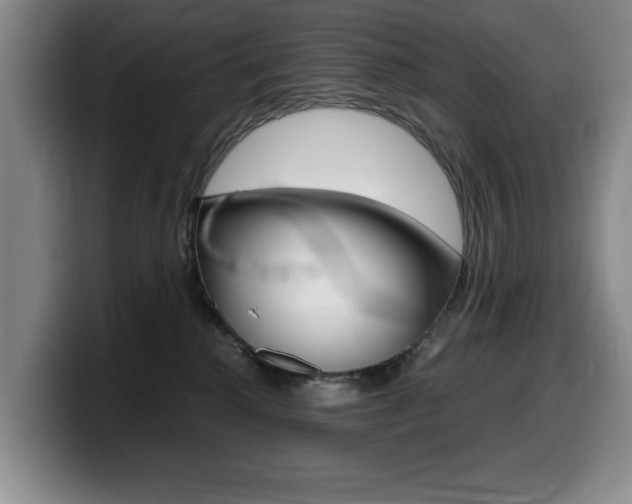X0000099470280200805090819