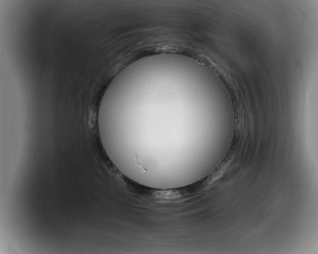 X0000099470281200805090819