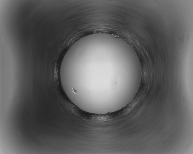 X0000099470282200805090819