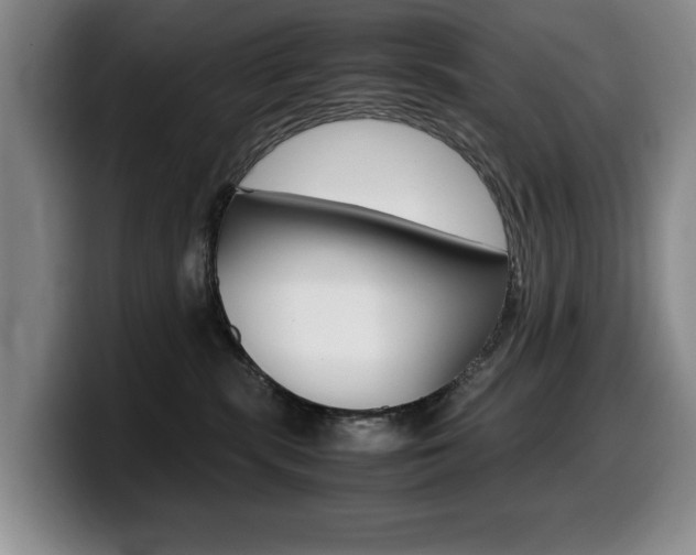 X0000099470283200805090819