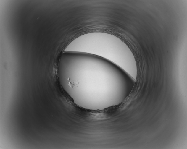 X0000099470284200805090819