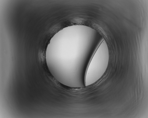 X0000099470285200805090819