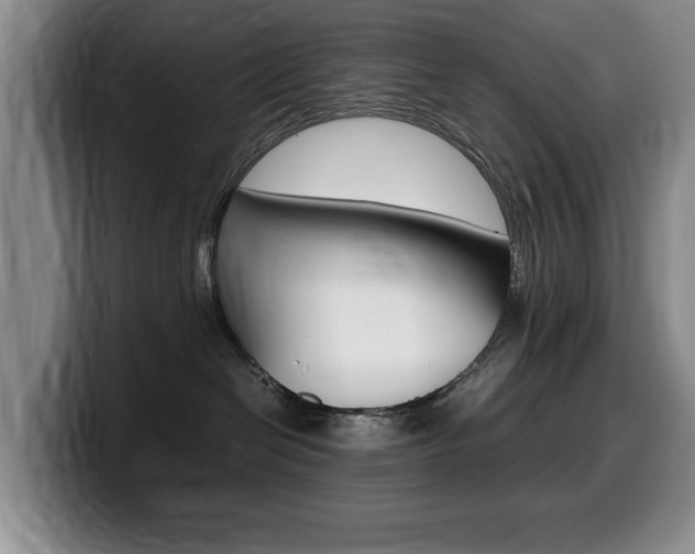 X0000099470286200805090819