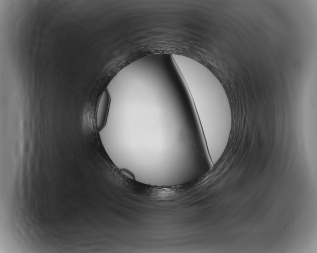 X0000099470287200805090819