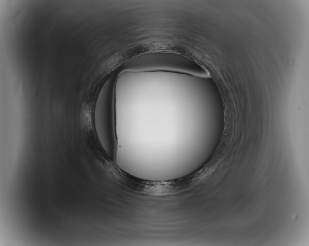 X0000099470288200805090819