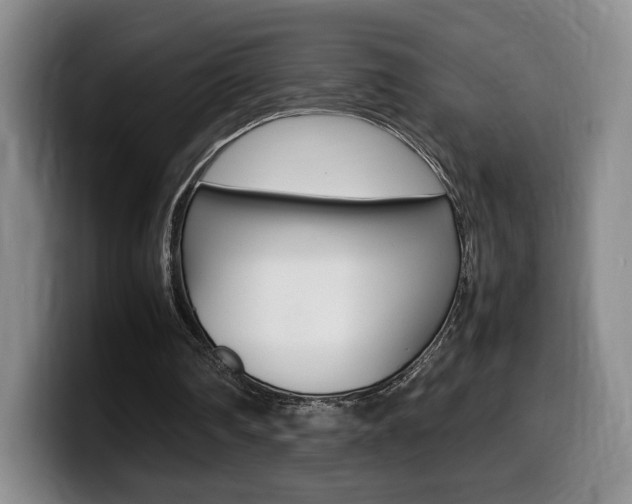 X0000099470290200805090819