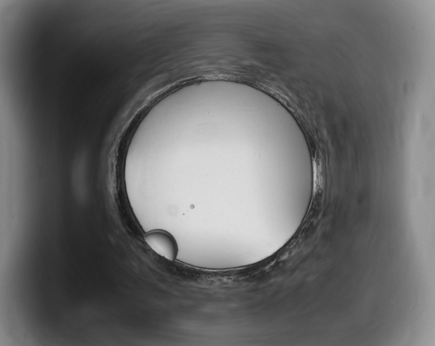 X0000099470291200805090819