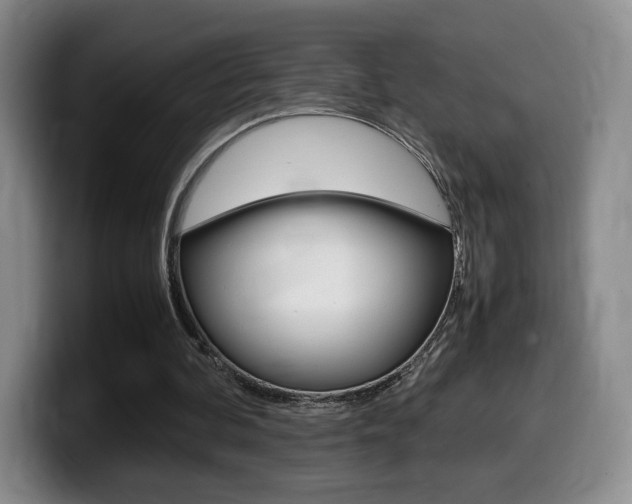 X0000099470292200805090819