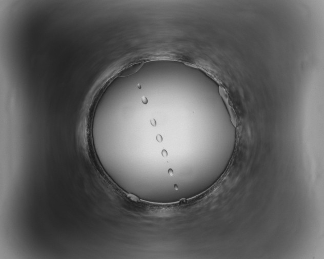 X0000099470293200805090819