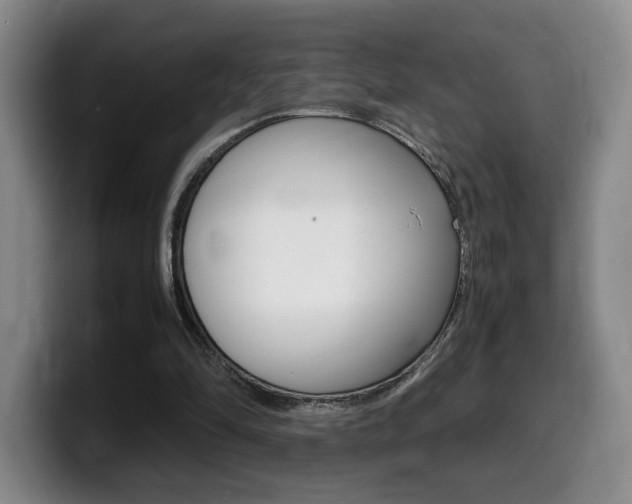 X0000099470294200805090819