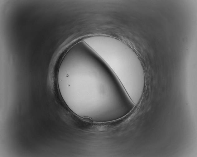X0000099470295200805090819