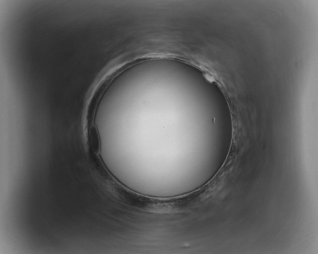 X0000099470296200805090819