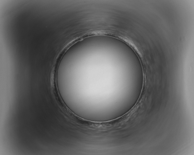X0000099470297200805090819