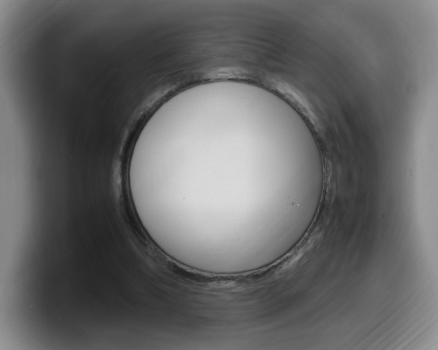 X0000099470298200805090819