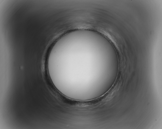 X0000099470299200805090819