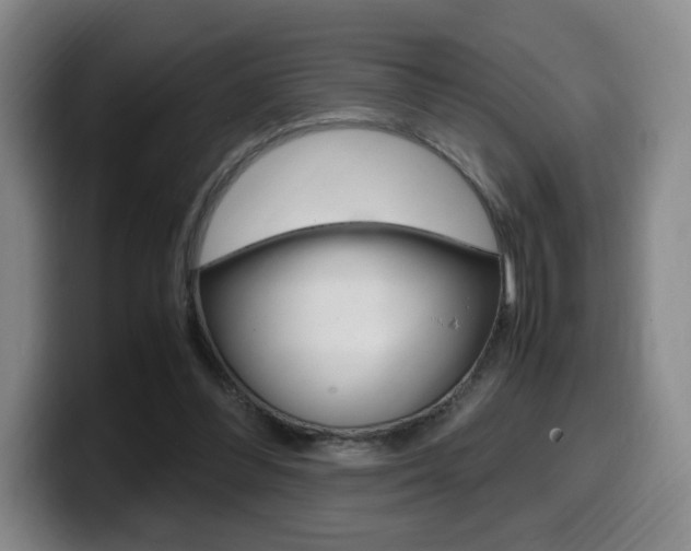 X0000099470300200805090819