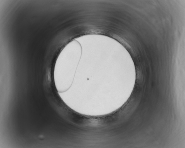 X0000099470302200805090819