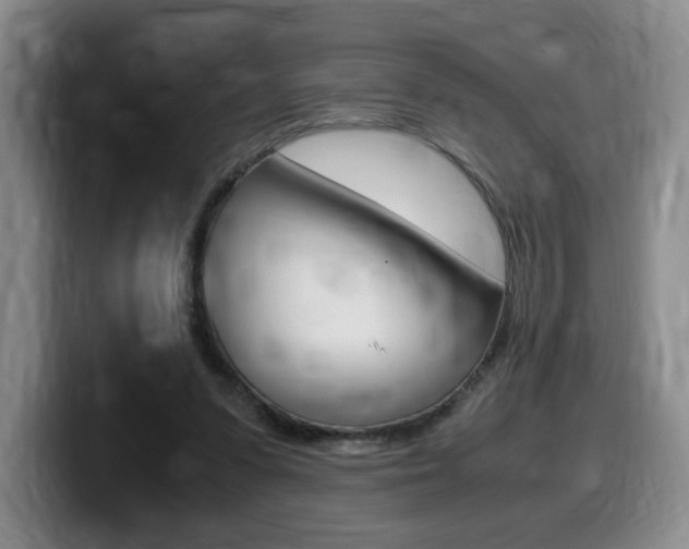X0000099470303200805090819