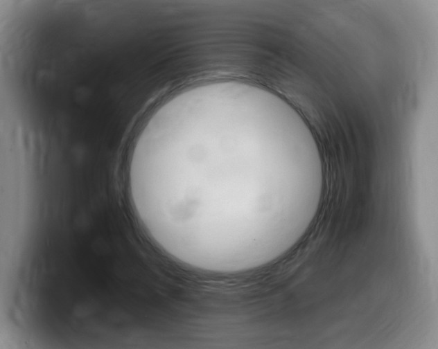 X0000099470304200805090819