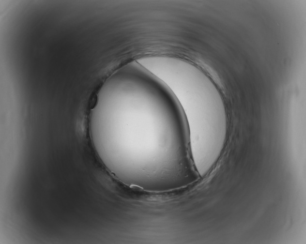 X0000099470305200805090819