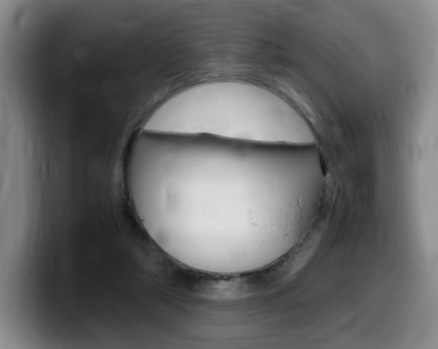 X0000099470306200805090819