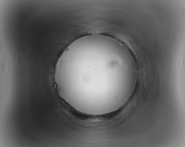X0000099470307200805090819