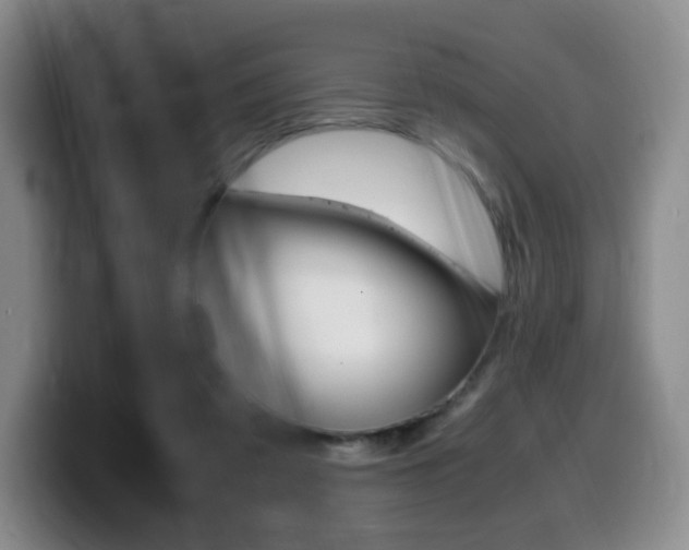 X0000099470309200805090819
