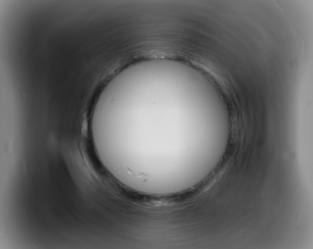 X0000099470310200805090818