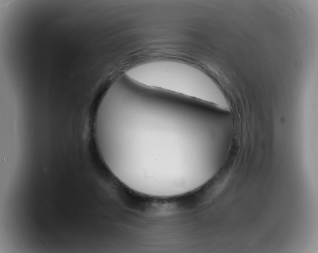 X0000099470311200805090818