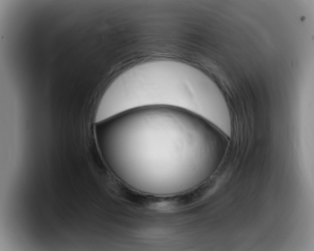 X0000099470312200805090818