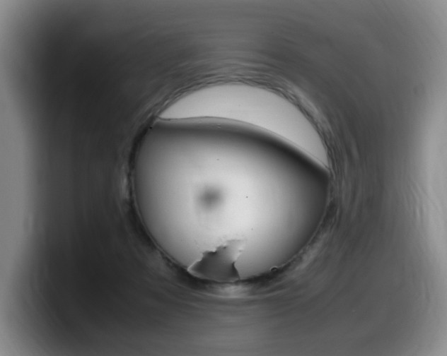 X0000099470313200805090818