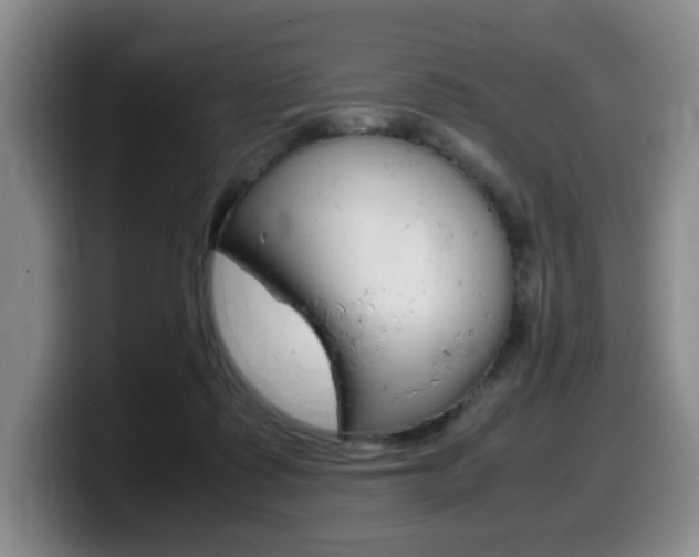 X0000099470315200805090818