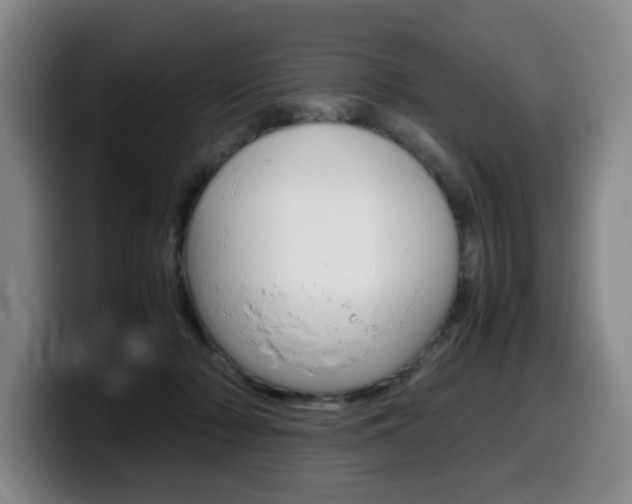 X0000099470318200805090818