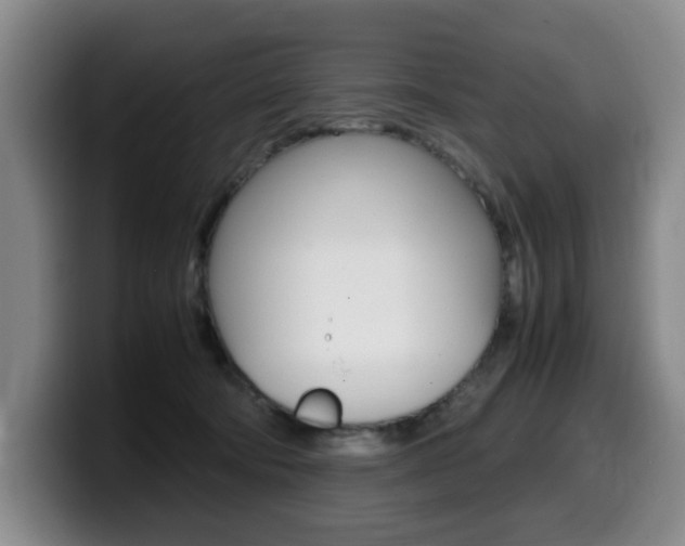 X0000099470322200805090818
