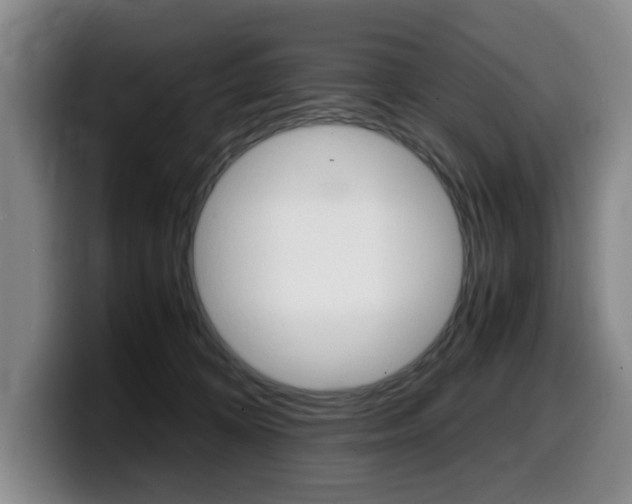 X0000099470324200805090818