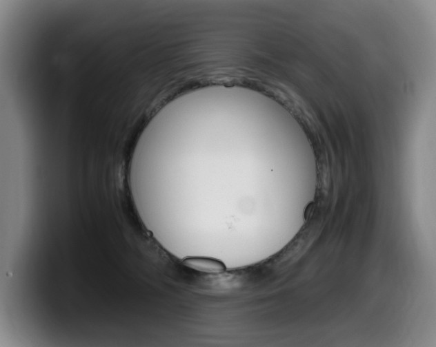 X0000099470326200805090818