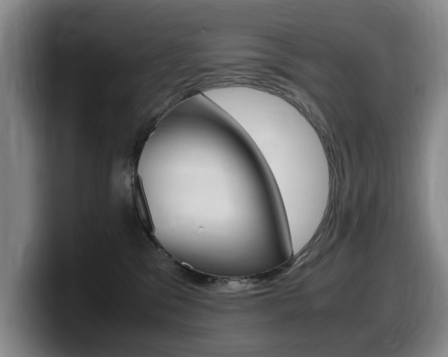 X0000099470329200805090818