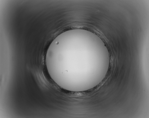 X0000099470330200805090818