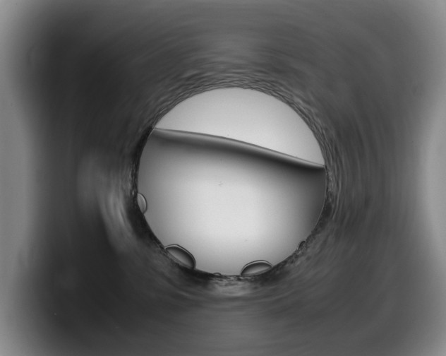 X0000099470331200805090818