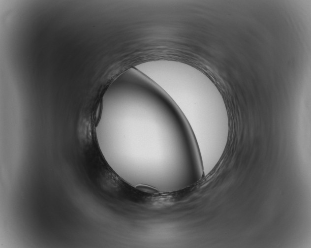 X0000099470333200805090818