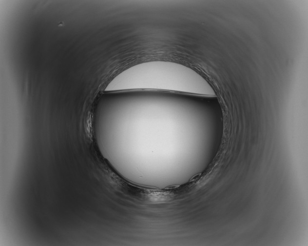 X0000099470336200805090818